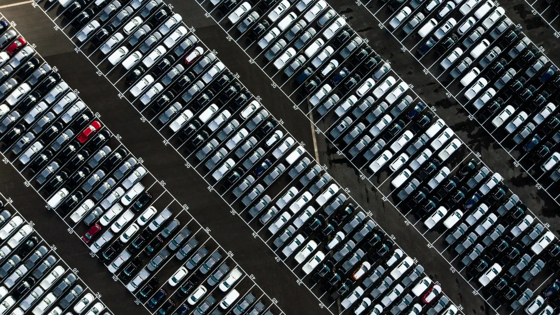 Busy parking lot